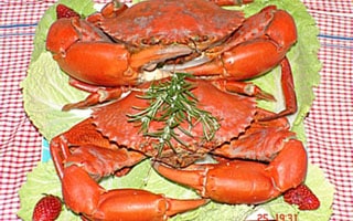 Restaurant - Crab