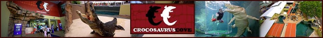 Crocosaurus Cove Darwin