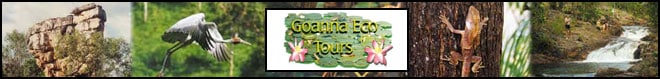 Jumping Crocs + Litchfield Park [Goanna Eco Tours]