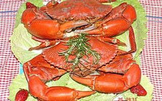 Restaurant - Crab