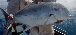Fishing