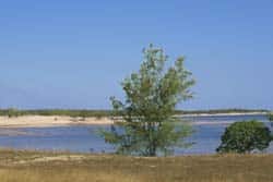 Cobourg Peninsula, northern territory, australia