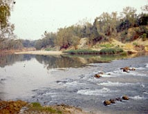 The Daly River