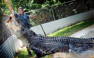 Crocodile Farm, Darwin Activities