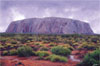 Uluru Kata Tjuta Tour