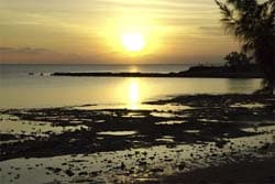 Cobourg Peninsula, northern territory, australia