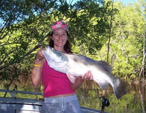 Kakadu Fishing