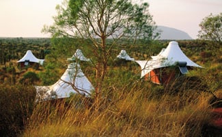 Tent Canopies