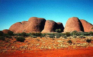 Olgas