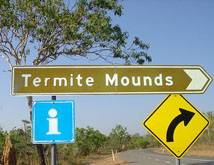 Termite Mounds Tourist Site