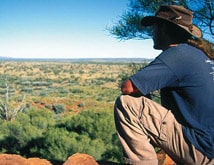 View of Kings Canyon